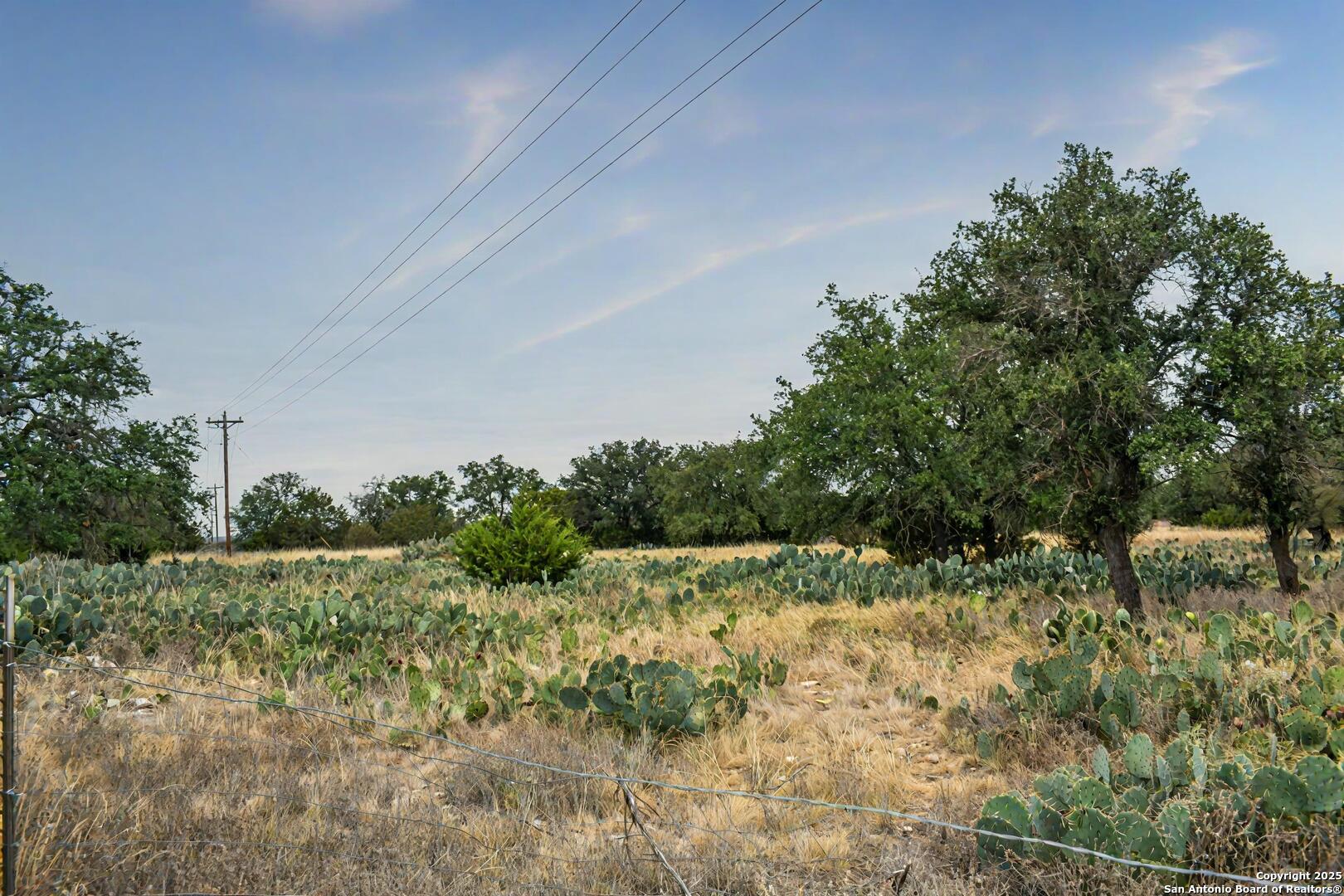 90 Tasiwoo Pvt Road Harper, TX 78631 - Photo 7 of 22 a view of a yard with a tree