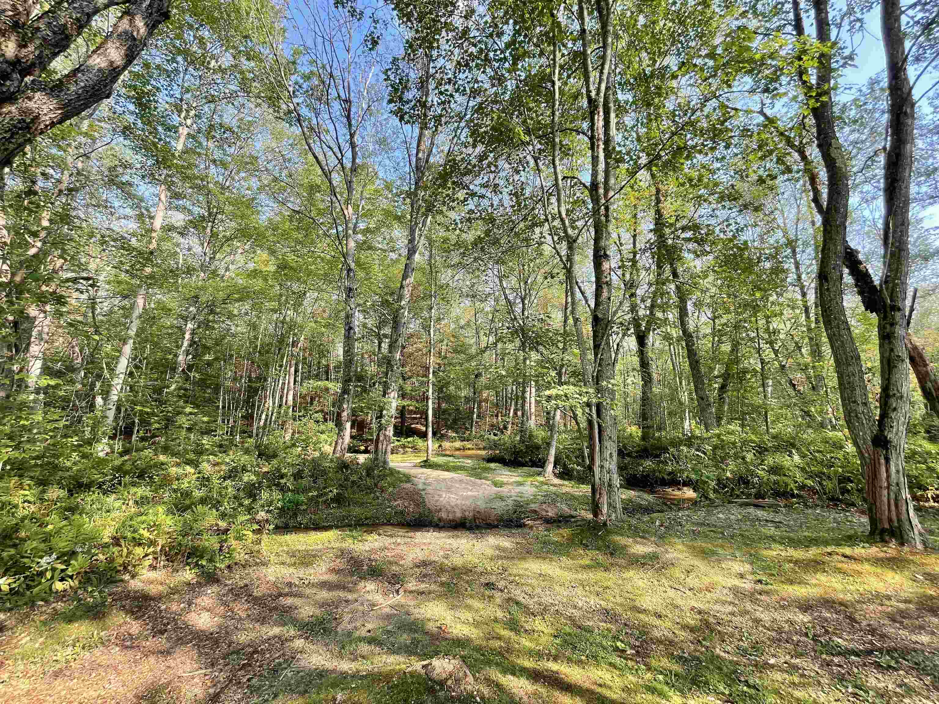 47 Beaver Brook Road Stoneham, ME 04231 - Photo 9 of 40 Gallery Image 9