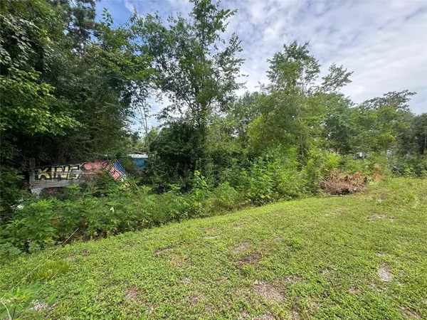 a view of a field of grass and trees