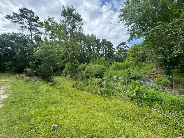 a view of a lush green space