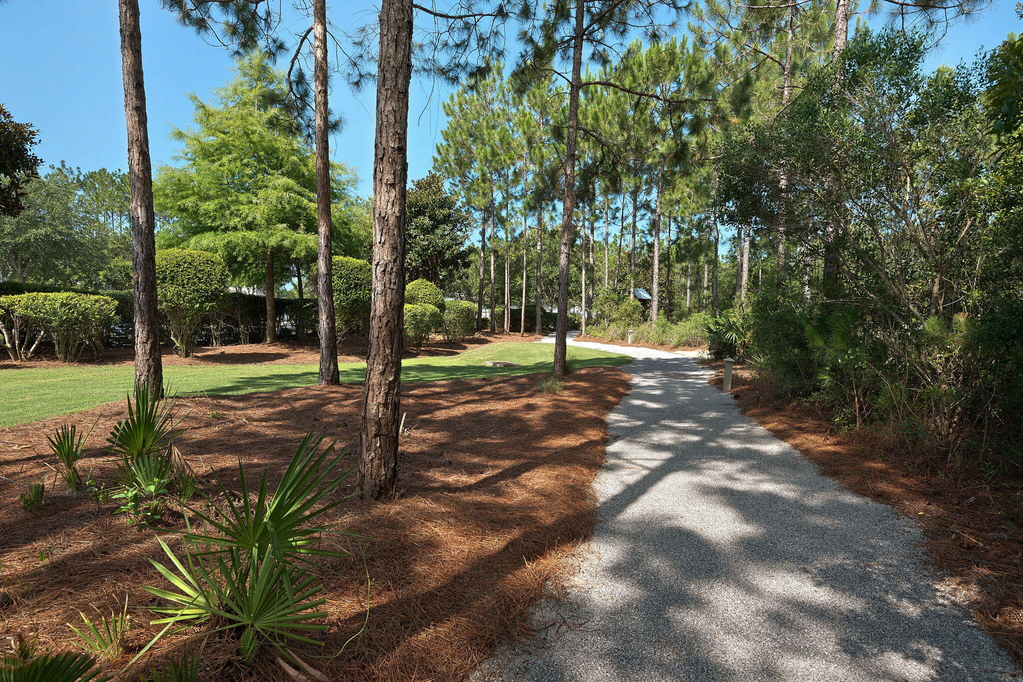 290 Windrow Way Watersound, FL 32461 - Photo 63 of 82 22-22_WatersoundOrigins062716_104