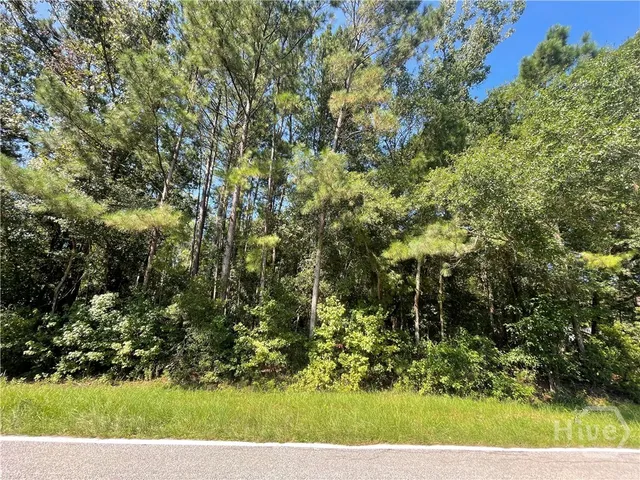 $74,500 | 0 Reedsville Road, Clyo, GA 31303