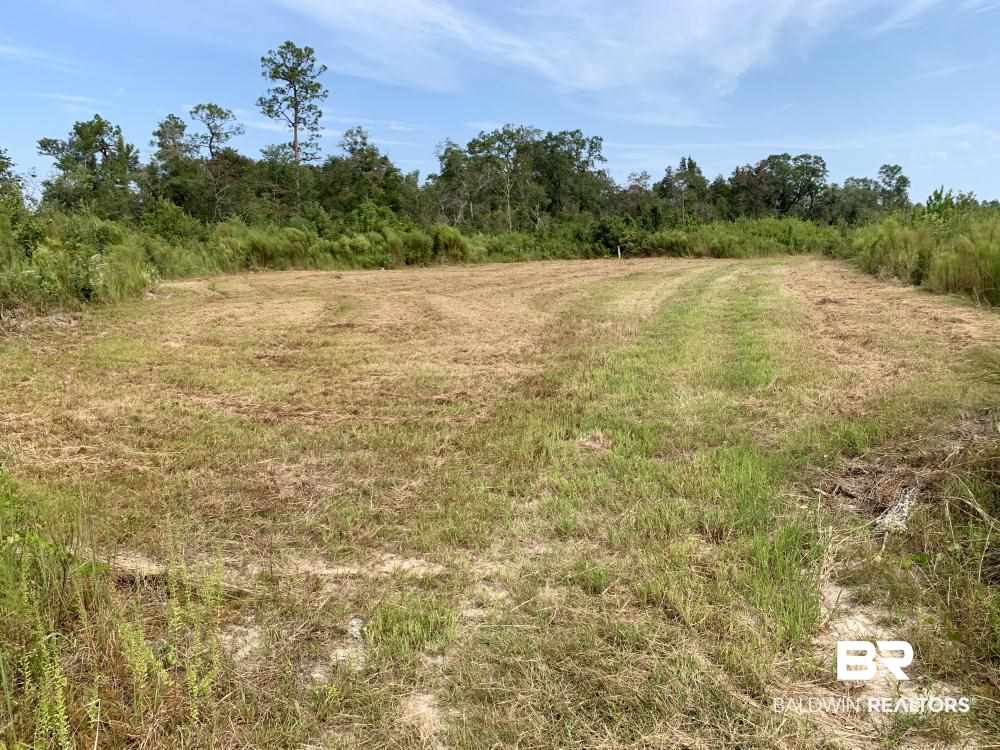 0 Country Road Mobile, AL 36608 - Photo 23 of 27