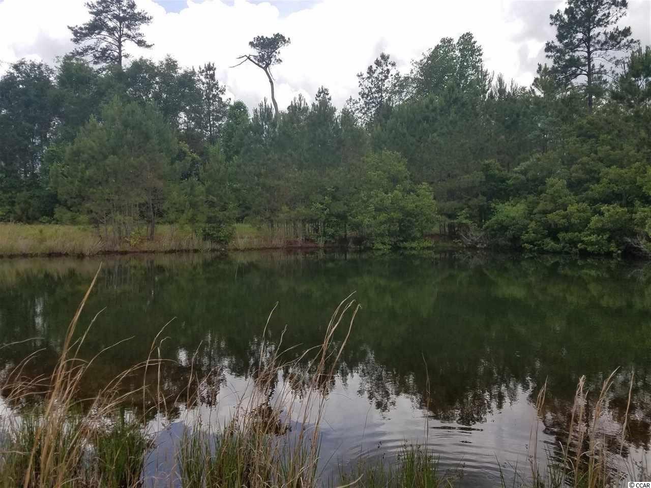 1-2 Harvey Road Loris, SC 29569 - Photo 2 of 18 Gallery Image 2