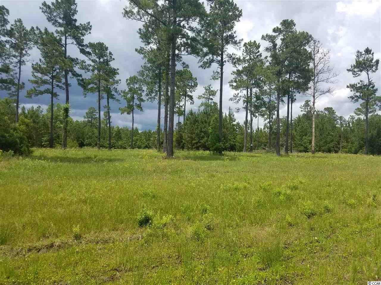 1-2 Harvey Road Loris, SC 29569 - Photo 11 of 18 Gallery Image 11