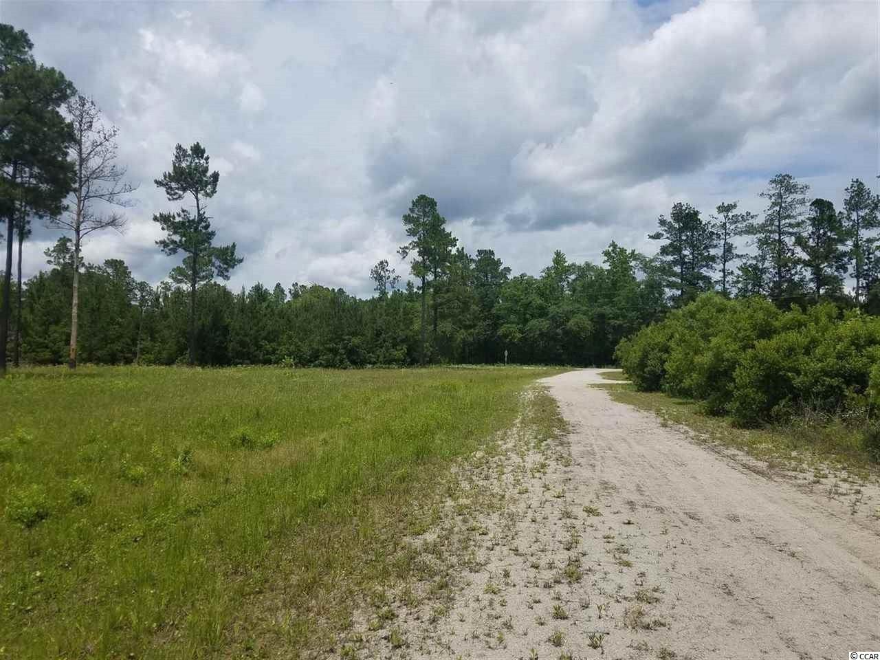 1-2 Harvey Road Loris, SC 29569 - Photo 12 of 18 Gallery Image 12