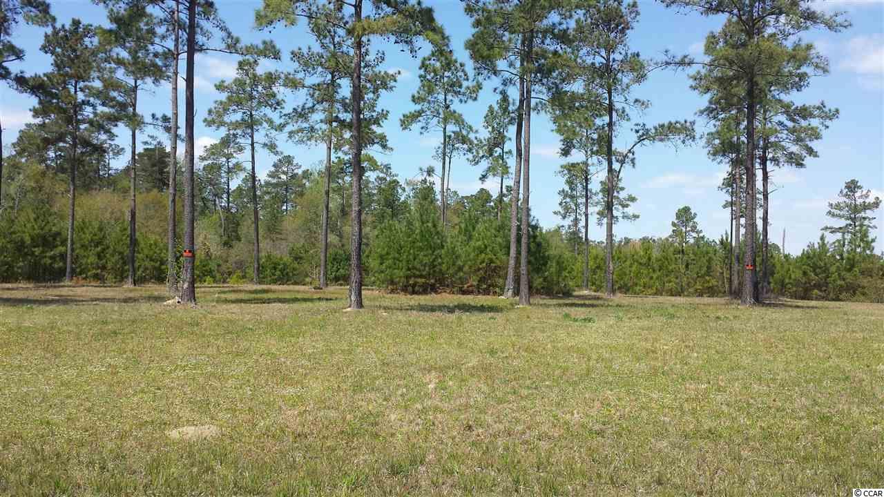 1-2 Harvey Road Loris, SC 29569 - Photo 3 of 18 Gallery Image 3