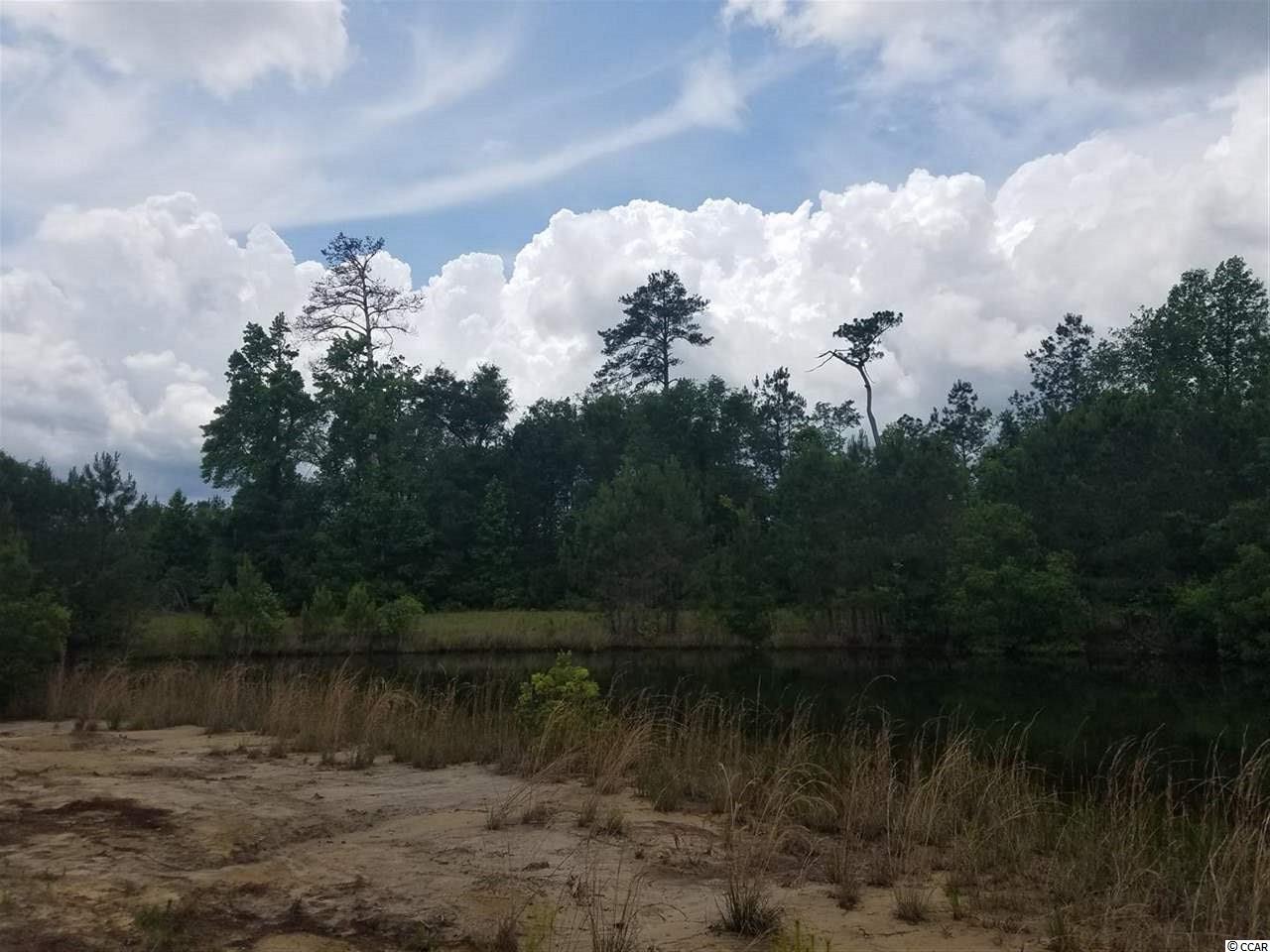 1-2 Harvey Road Loris, SC 29569 - Photo 4 of 18 Gallery Image 4