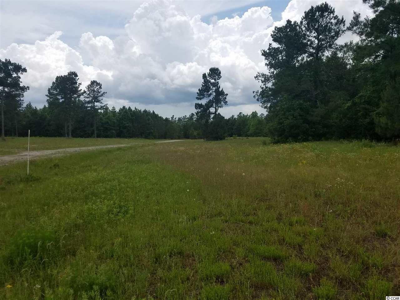 1-2 Harvey Road Loris, SC 29569 - Photo 5 of 18 Gallery Image 5