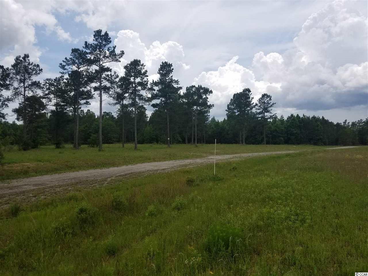 1-2 Harvey Road Loris, SC 29569 - Photo 6 of 18 Gallery Image 6