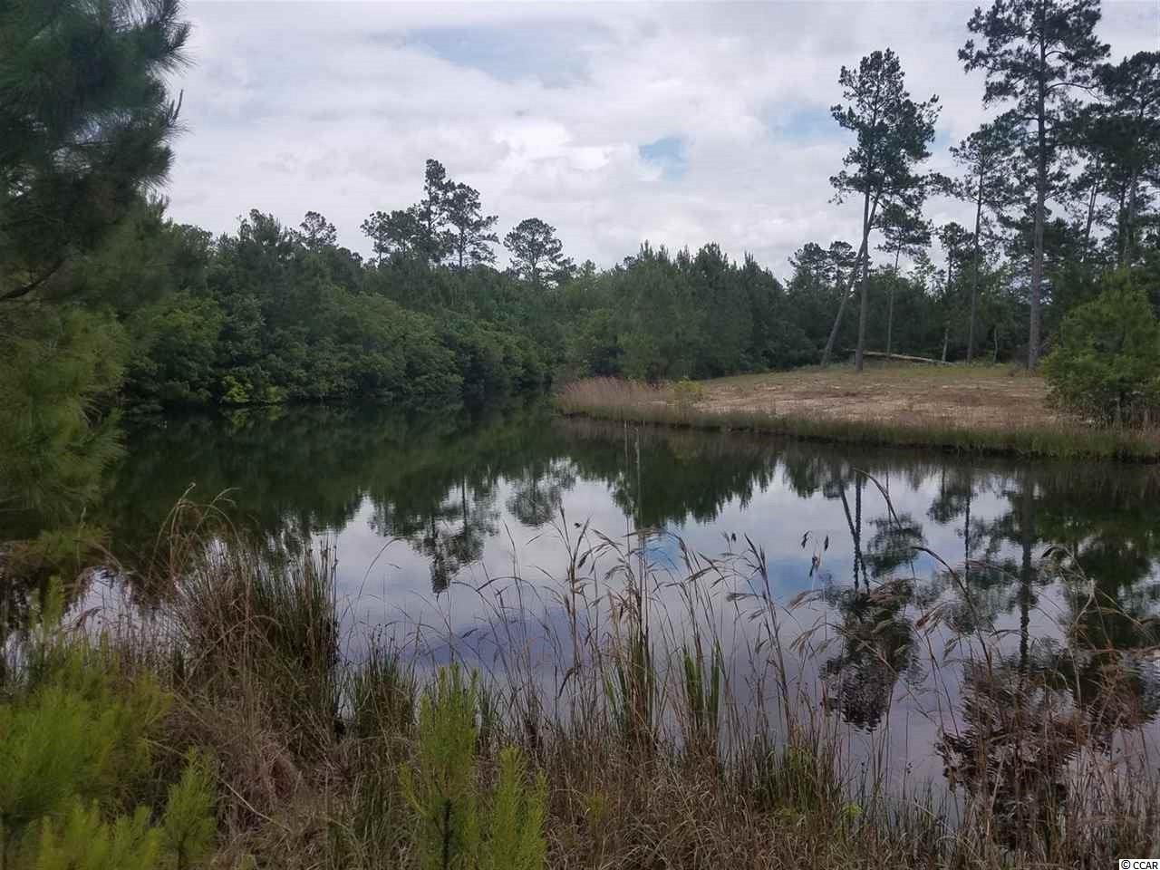 1-2 Harvey Road Loris, SC 29569 - Photo 7 of 18 Gallery Image 7