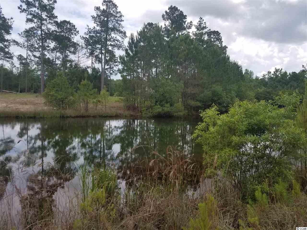1-2 Harvey Road Loris, SC 29569 - Photo 8 of 18 Gallery Image 8
