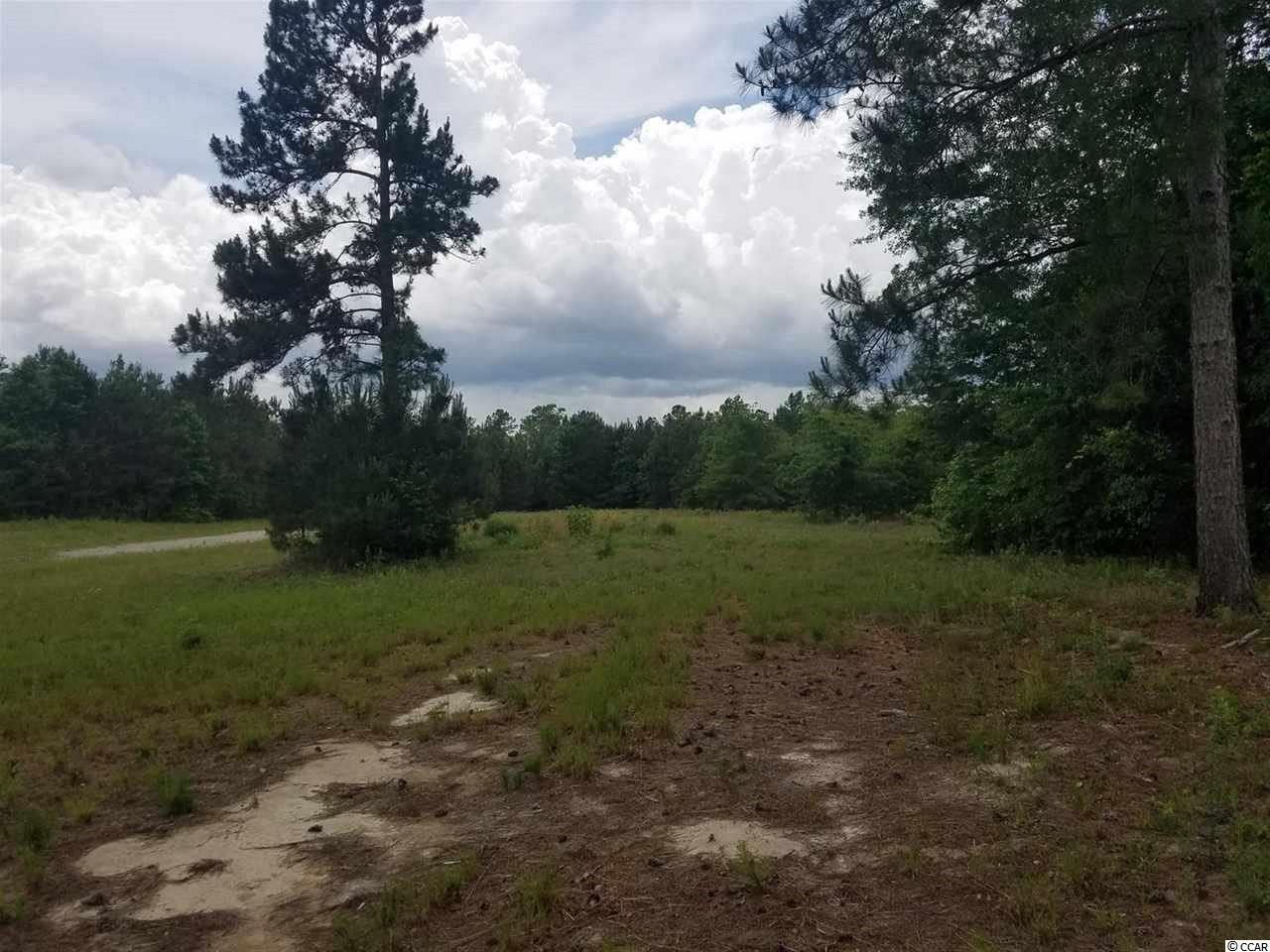 1-2 Harvey Road Loris, SC 29569 - Photo 10 of 18 Gallery Image 10