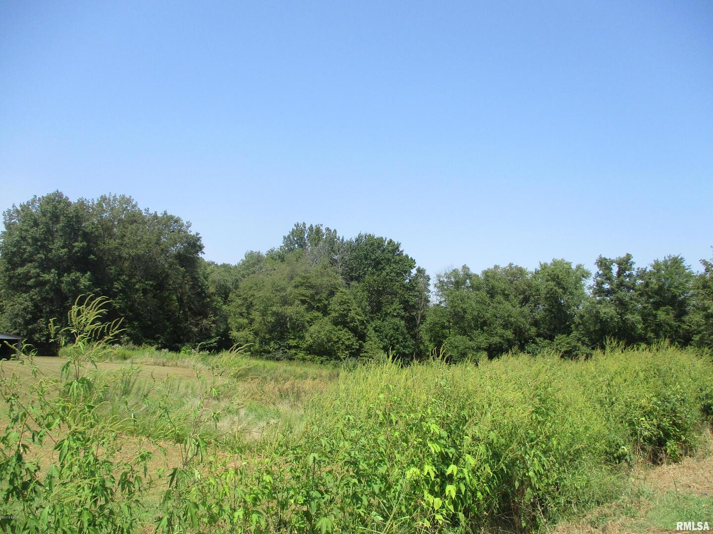 0 South Jenette Avenue Buckner, IL 62819 - Photo 2 of 10 a view of a lush green space