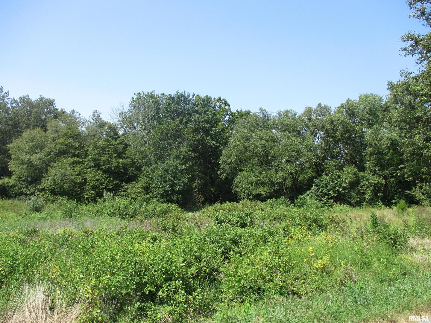 0 South Jenette Avenue Buckner, IL 62819 - Photo 3 of 10 a view of a lush green forest with trees in the background
