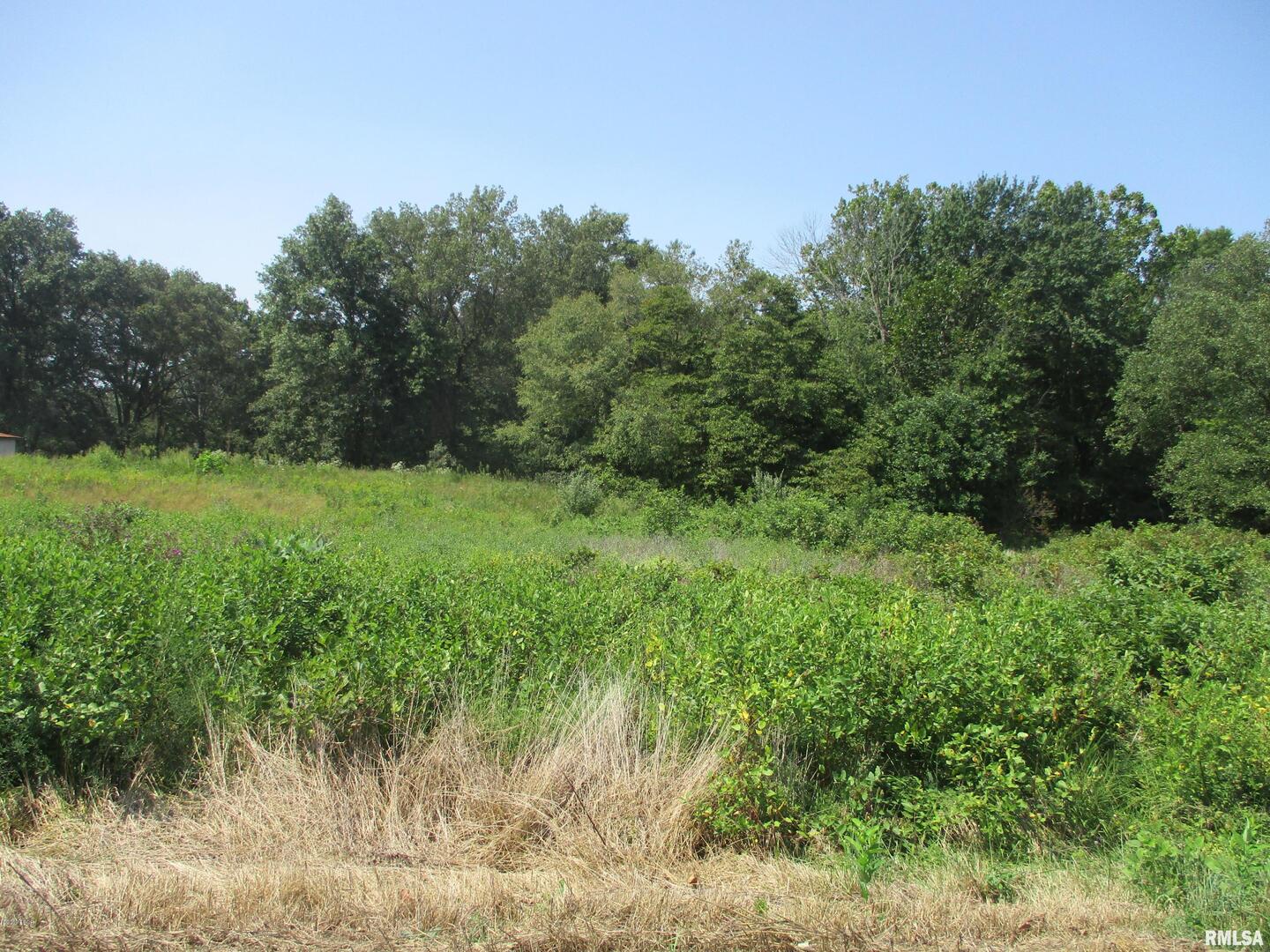0 South Jenette Avenue Buckner, IL 62819 - Photo 4 of 10 a view of a lush green space
