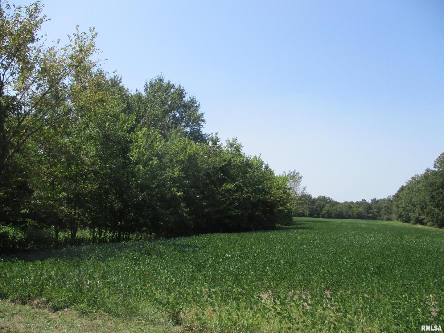 0 South Jenette Avenue Buckner, IL 62819 - Photo 7 of 10 a view of a grassy field