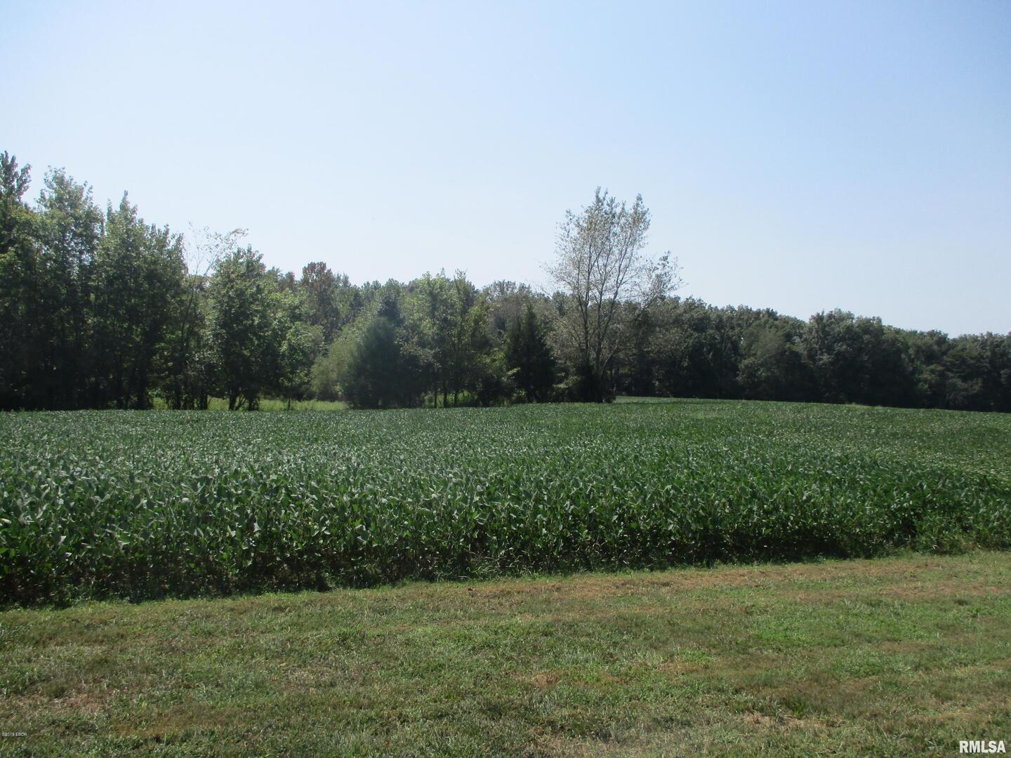 0 South Jenette Avenue Buckner, IL 62819 - Photo 9 of 10 a view of a grassy field