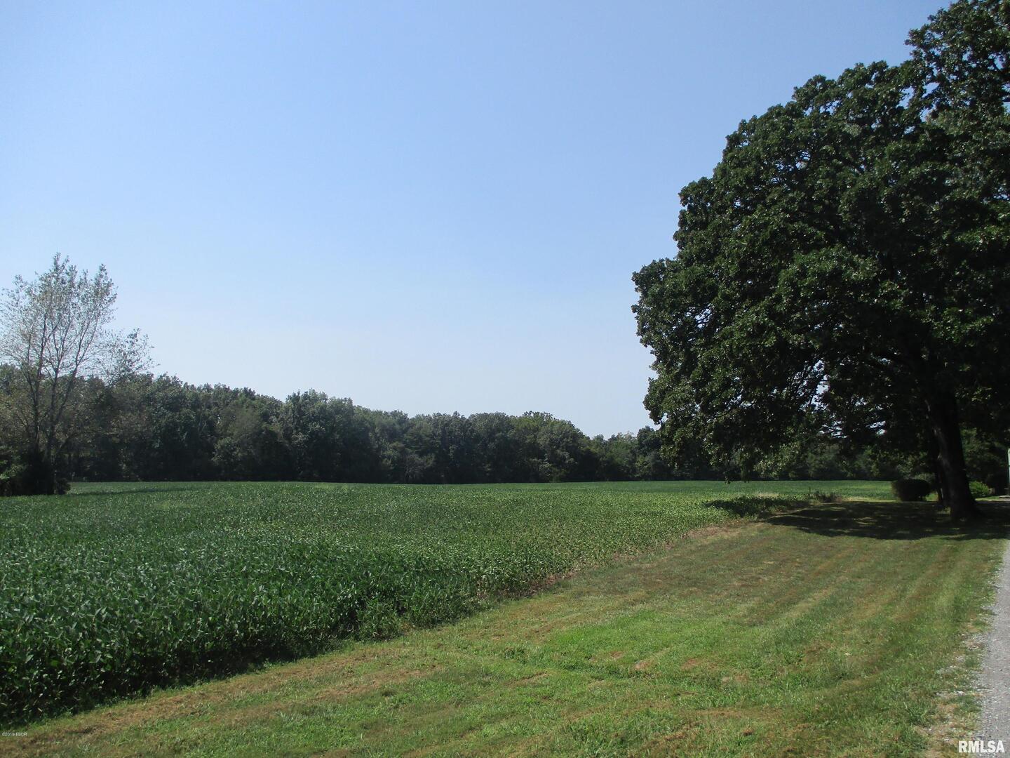 0 South Jenette Avenue Buckner, IL 62819 - Photo 10 of 10 a view of a grassy field