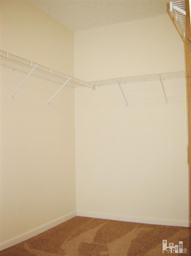 7115 Springer Road Wilmington, NC 28411 - Photo 11 of 20 Additional Photo