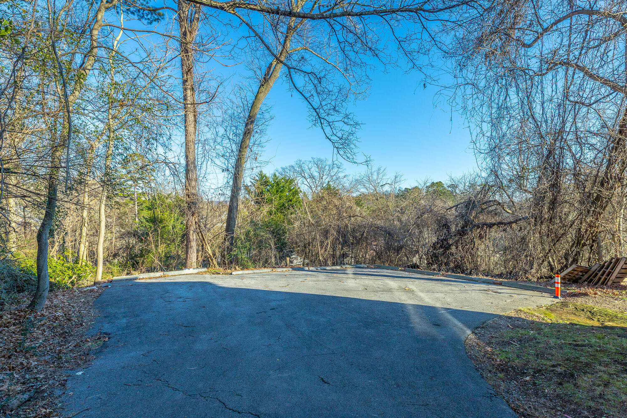 1314 Dallas Road Chattanooga, TN 37405 - Photo 4 of 38 1314 Dallas Road HD-85