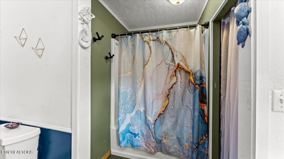 966 Chestnut Grove Road Dandridge, TN 37725 - Photo 16 of 38 15-Bathroom