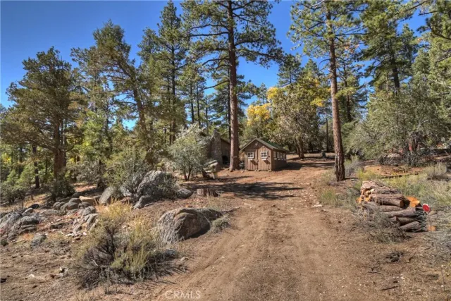 a view of a wooden house with a large tree