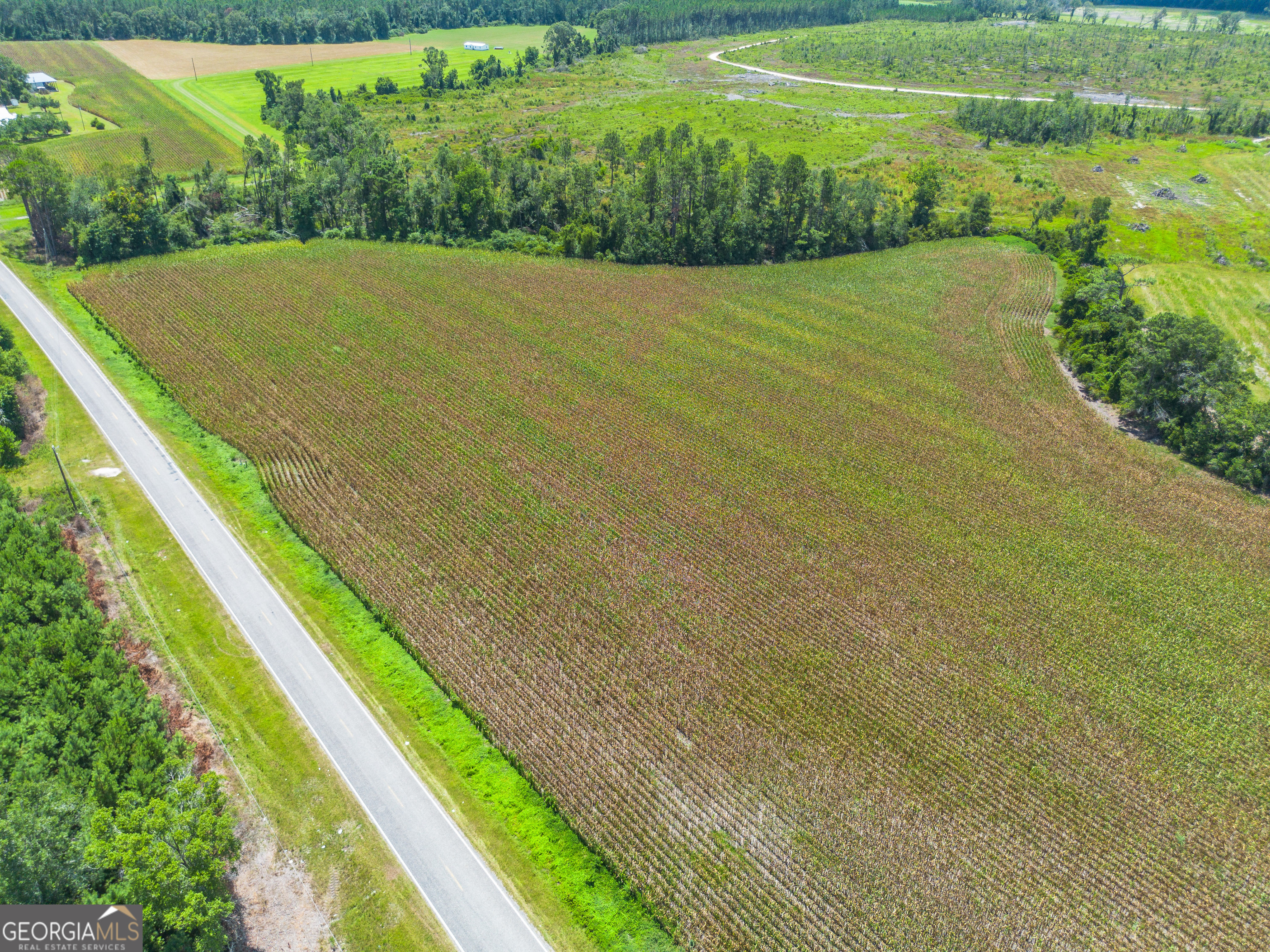 600 Teakwood Road Alma, GA 31510 - Photo 2 of 3 a view of a field with an outdoor space
