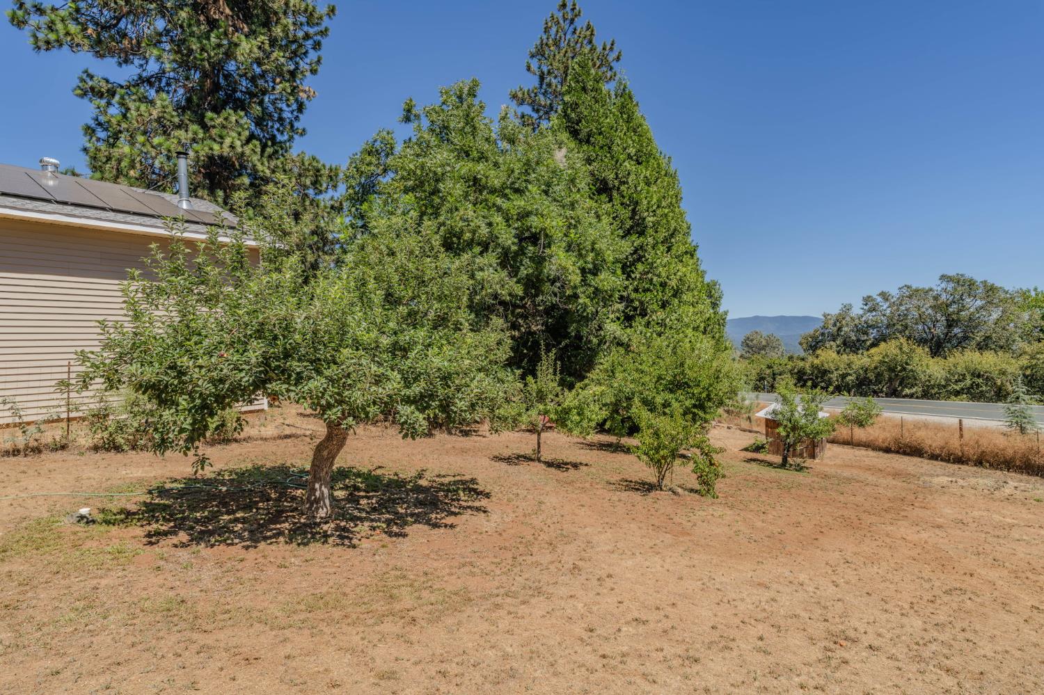 14206 Williams Road Pioneer, CA 95666 - Photo 67 of 96 Gallery Image 67