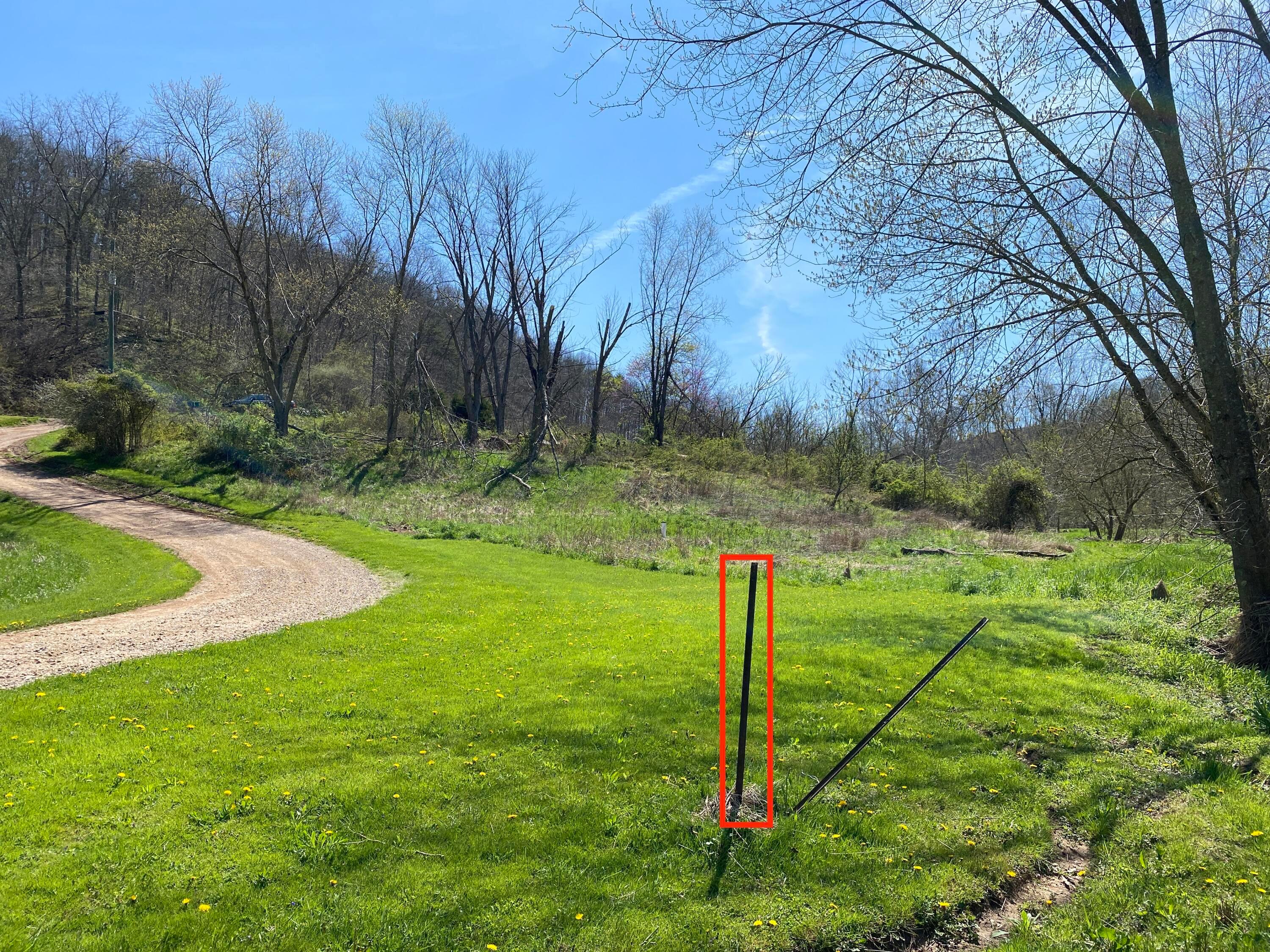 0 West Side Tr Reedsville, OH 45772 - Photo 8 of 19 Bottom of property. Property stake marked in red. Creek to right.