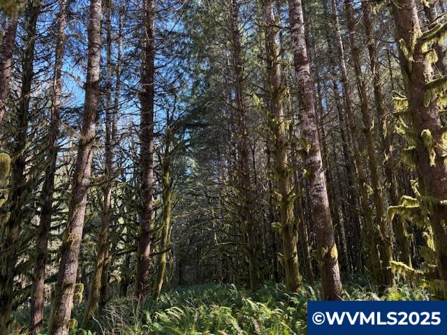 0 Logsden Road Blodgett, OR 97326 - Photo 16 of 24