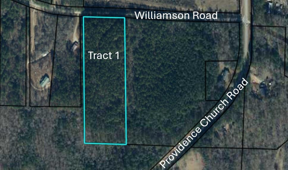 Tract1 Williamson Road Tallapoosa, GA 30176 - Photo 1 of 1 Gallery Image 1