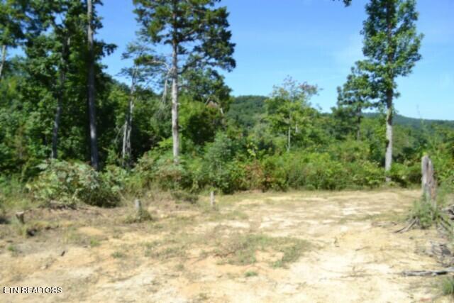 9.85-ac Rock Springs Road Celina, TN 38551 - Photo 11 of 48 DSC_0019