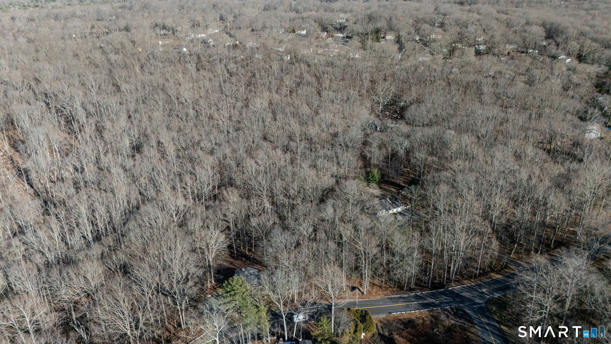 82 Christy Hill Road Ledyard, CT 06335 - Photo 13 of 18 a view of a dry yard
