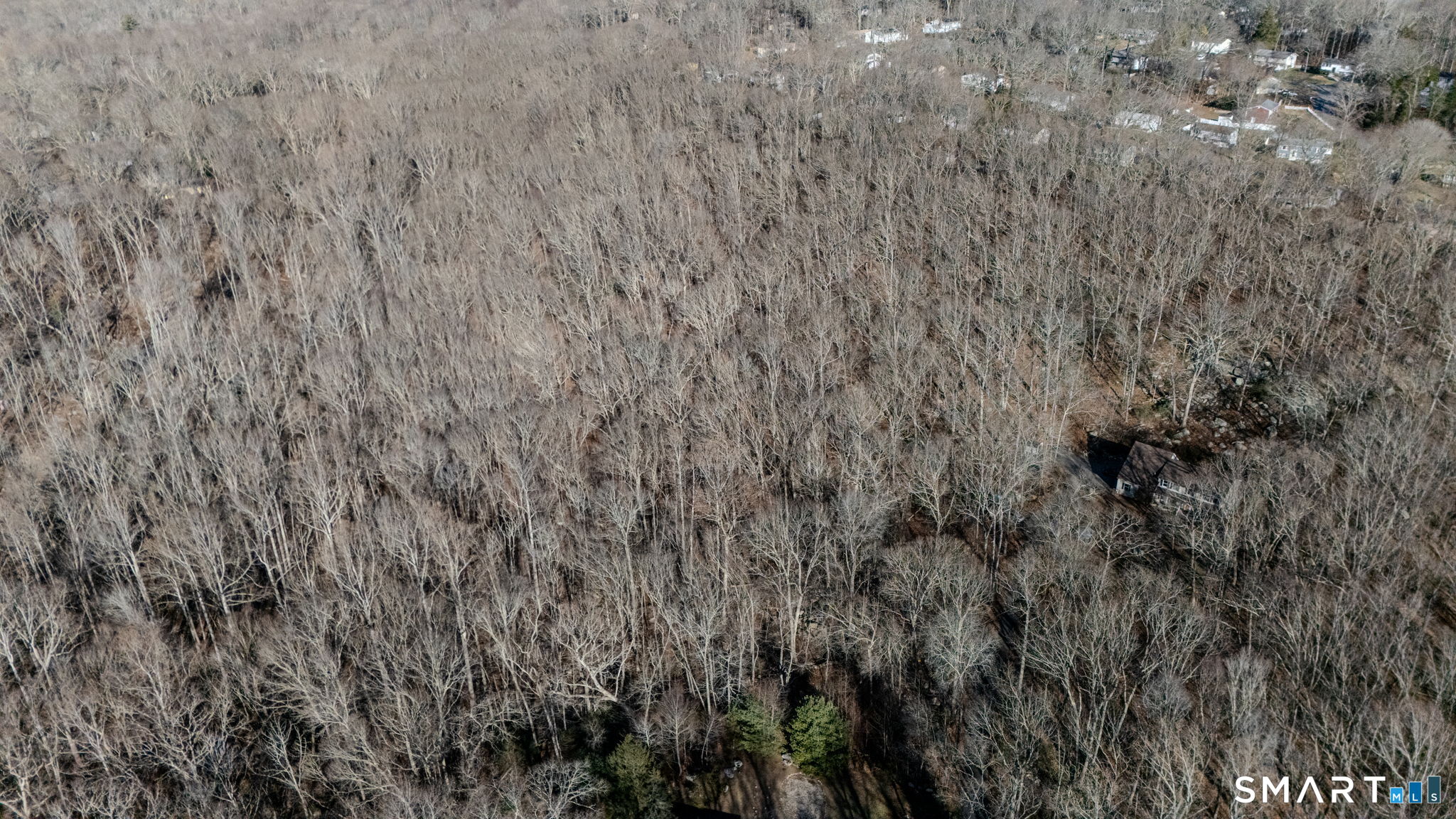82 Christy Hill Road Ledyard, CT 06335 - Photo 14 of 18 a view of a dry yard