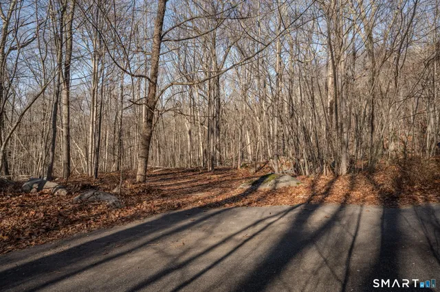 a view of a backyard of the house