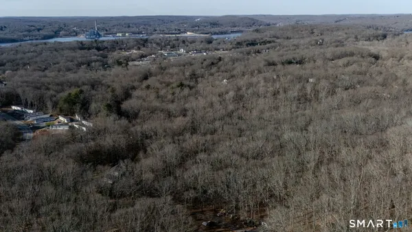 a view of a dry yard