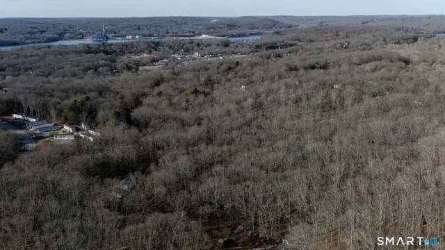 a view of a dry yard