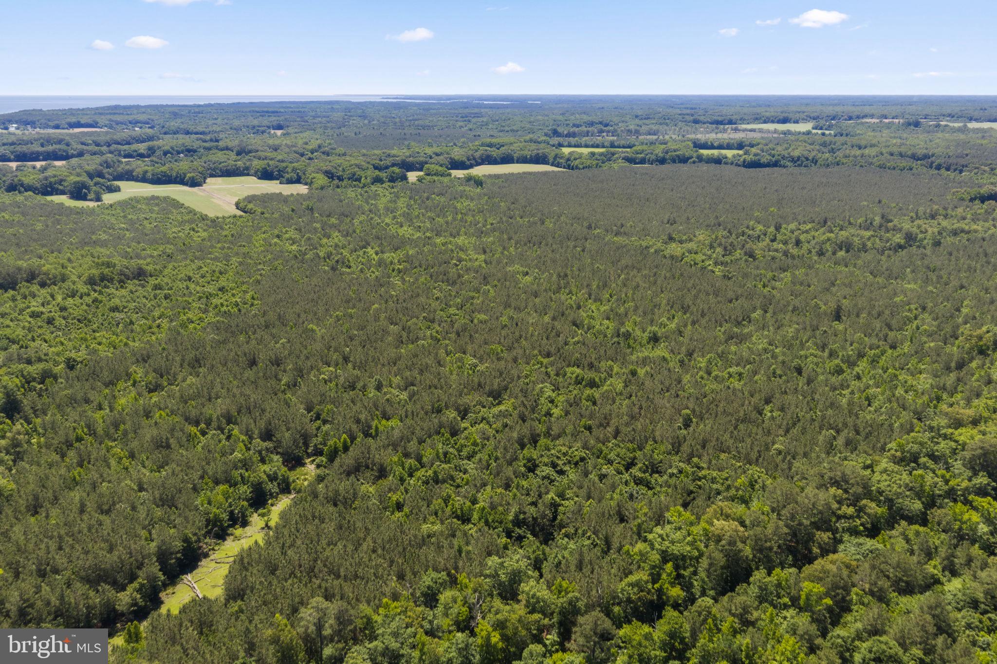 1 Wilton Road Hague, VA 22469 - Photo 8 of 13 an aerial view of valley and lake