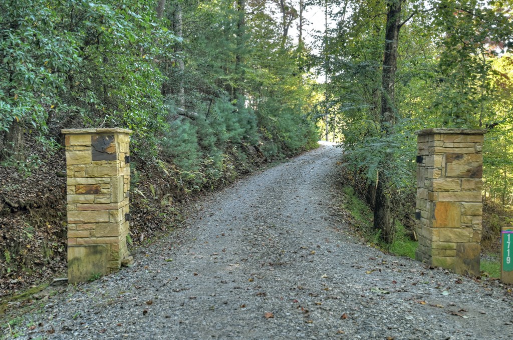 1719 Hogback Drive Blue Ridge, GA 30513 - Photo 37 of 67 Gallery Image 37