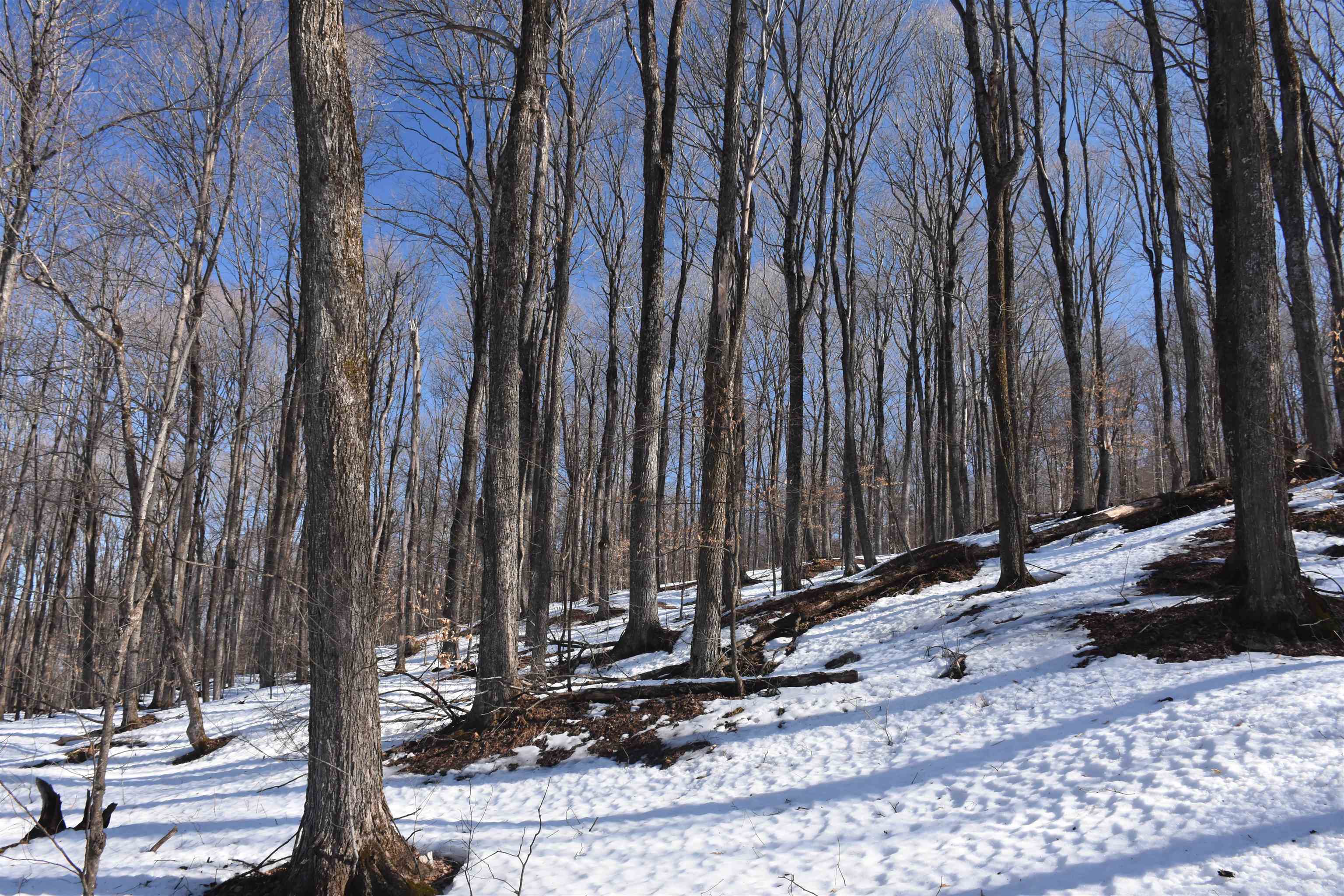 397 Winch Hill Extension Roxbury, VT 05663 - Photo 40 of 57