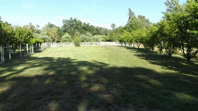 25859 East Trimmer Springs Road Sanger, CA 93657 - Photo 8 of 21 Gallery Image 8