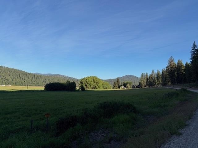 29-xx Red Marble Road Chewelah, WA 99109 - Photo 8 of 19