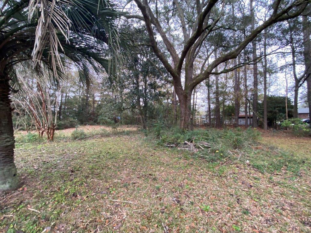 2749 Otranto Road North Charleston, SC 29406 - Photo 28 of 29 IMG_6217