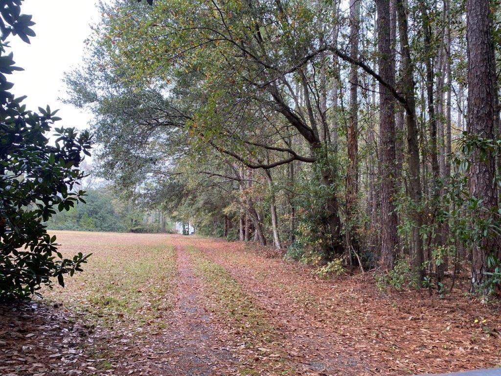 2749 Otranto Road North Charleston, SC 29406 - Photo 29 of 29 IMG_6251