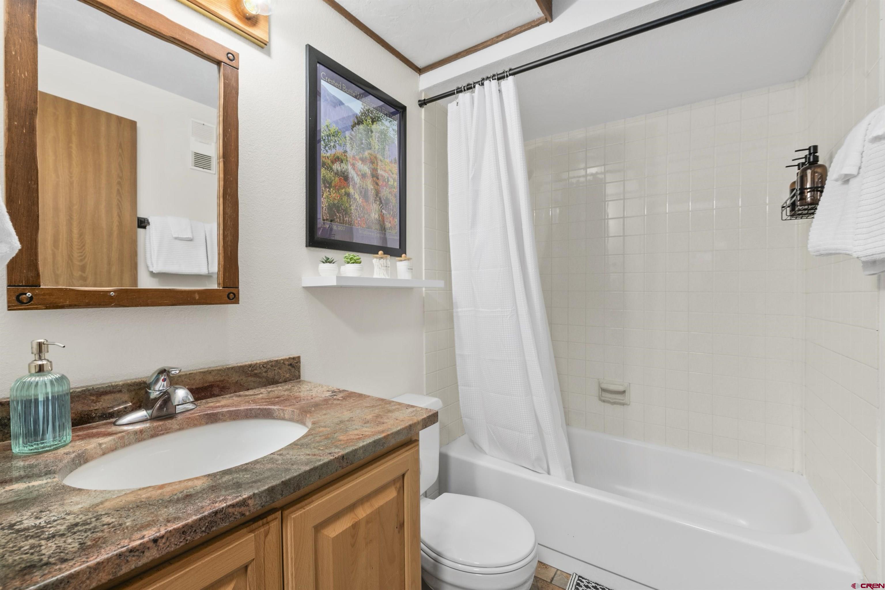 701 Gothic Road, Unit 136 Crested Butte, CO 81225 - Photo 11 of 23
