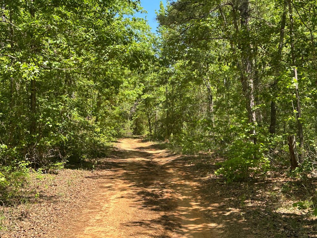 4230 West Quaker Road Keysville, GA 30816 - Photo 11 of 19 57drive2