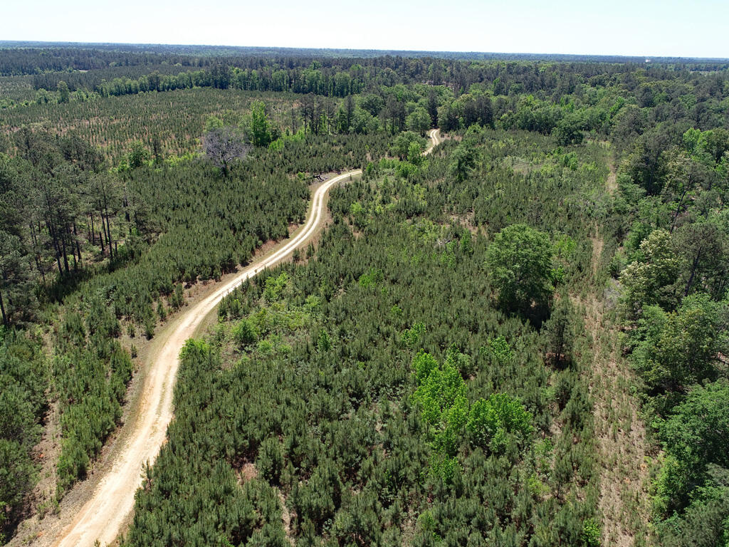 4230 West Quaker Road Keysville, GA 30816 - Photo 13 of 19 57pinesDrone