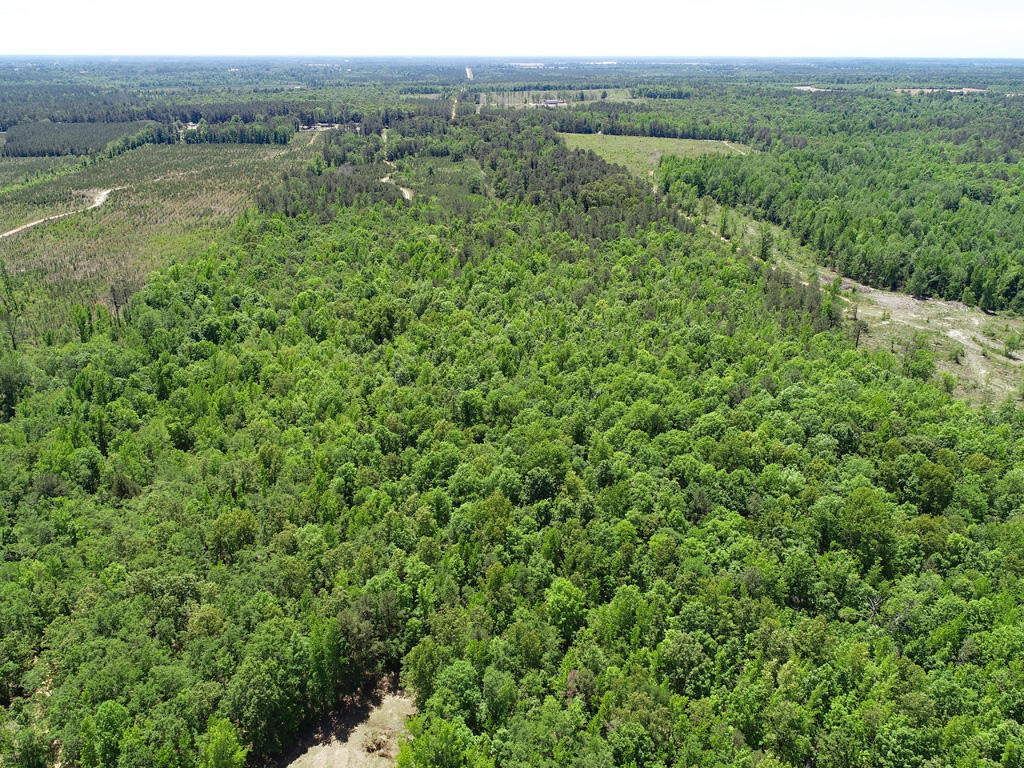 4230 West Quaker Road Keysville, GA 30816 - Photo 14 of 19 57hardwoodDrone