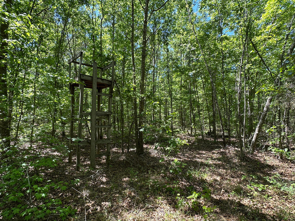 4230 West Quaker Road Keysville, GA 30816 - Photo 18 of 19 57deerStand